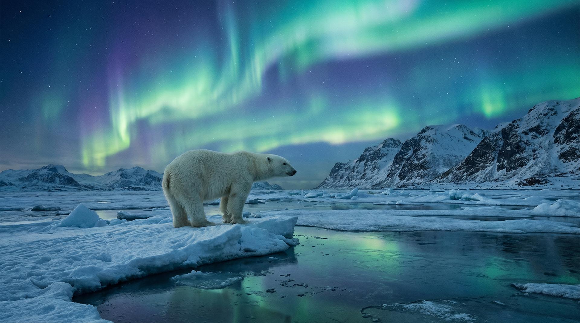 免费看片杰尼龟视频